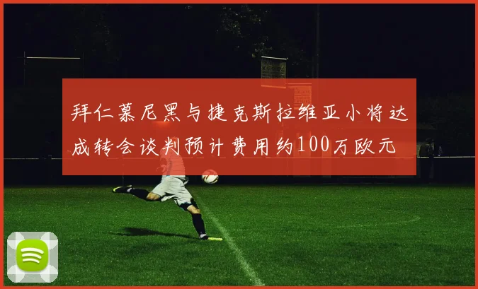拜仁慕尼黑与捷克斯拉维亚小将达成转会谈判预计费用约100万欧元