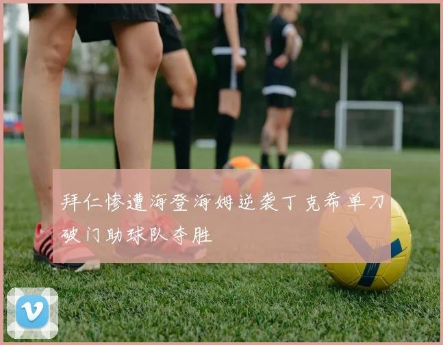 拜仁惨遭海登海姆逆袭丁克希单刀破门助球队夺胜