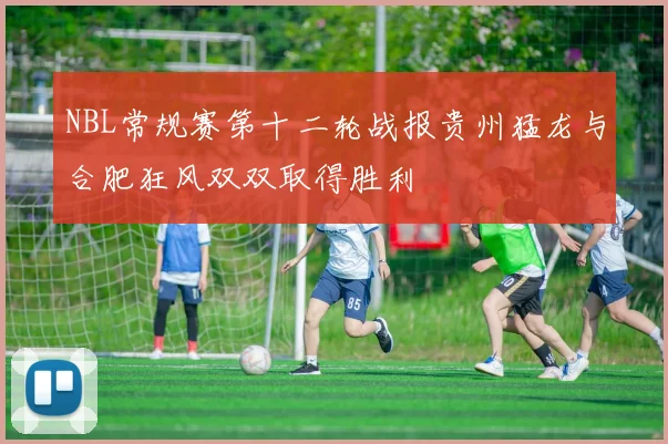 NBL常规赛第十二轮战报贵州猛龙与合肥狂风双双取得胜利