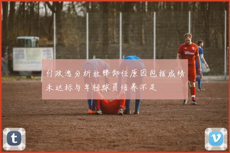付政浩分析杜锋卸任原因包括成绩未达标与年轻球员培养不足