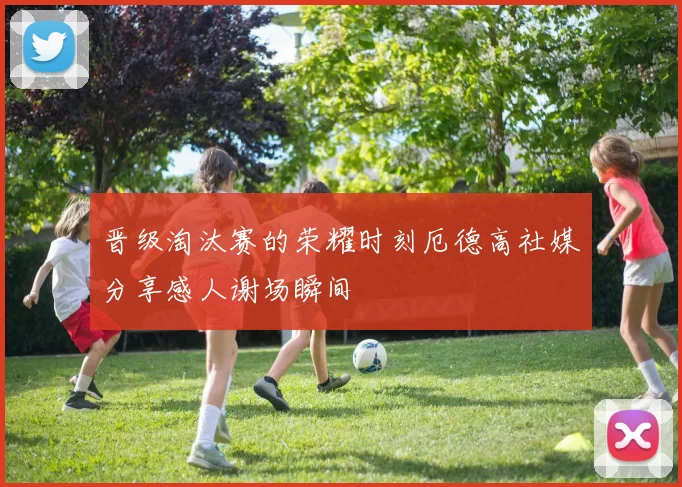晋级淘汰赛的荣耀时刻厄德高社媒分享感人谢场瞬间